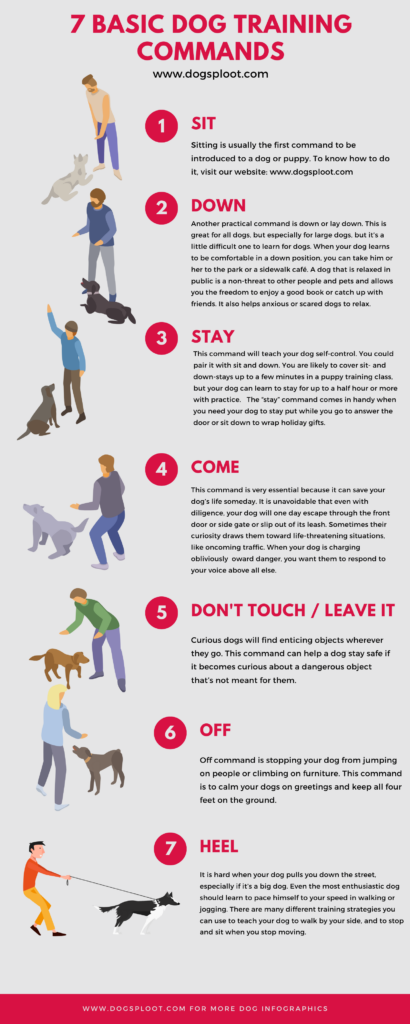 Basic Dog Training: 7 Basic Dog Commands - Dog Sploot