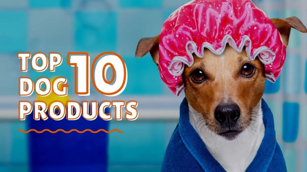 Best New Dog Products Top 10 Dog Products 2021