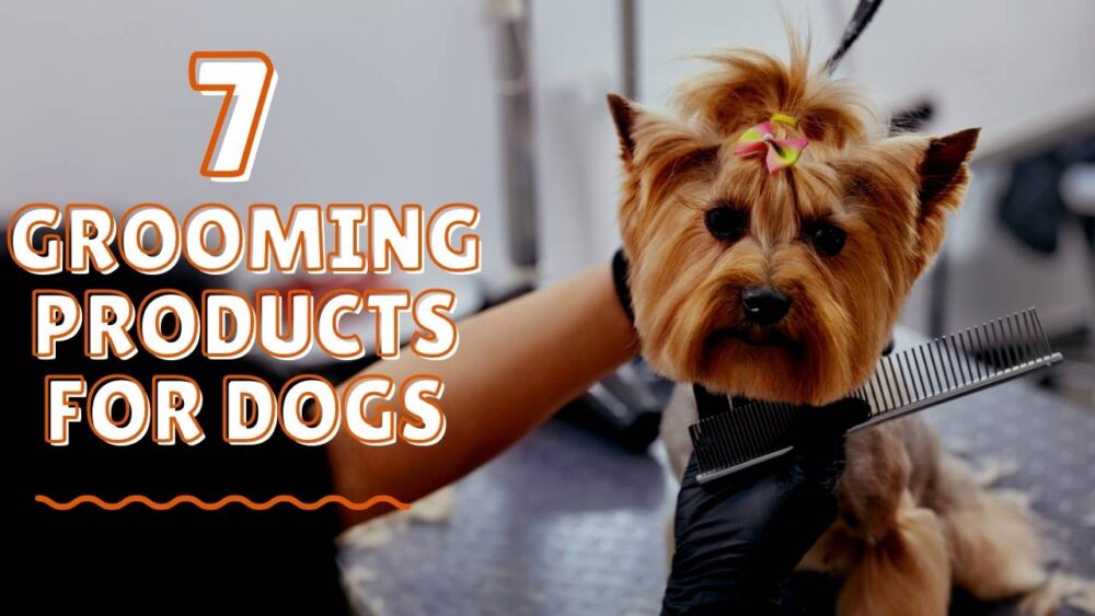 Best Grooming Tools For Dogs - 7 Grooming Products For Dogs