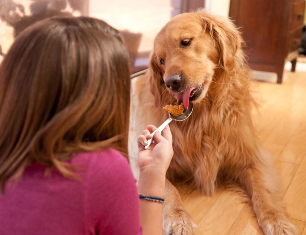 Is Peanut Butter Bad for dogs? Can Peanut Butter Harm Your Dog?