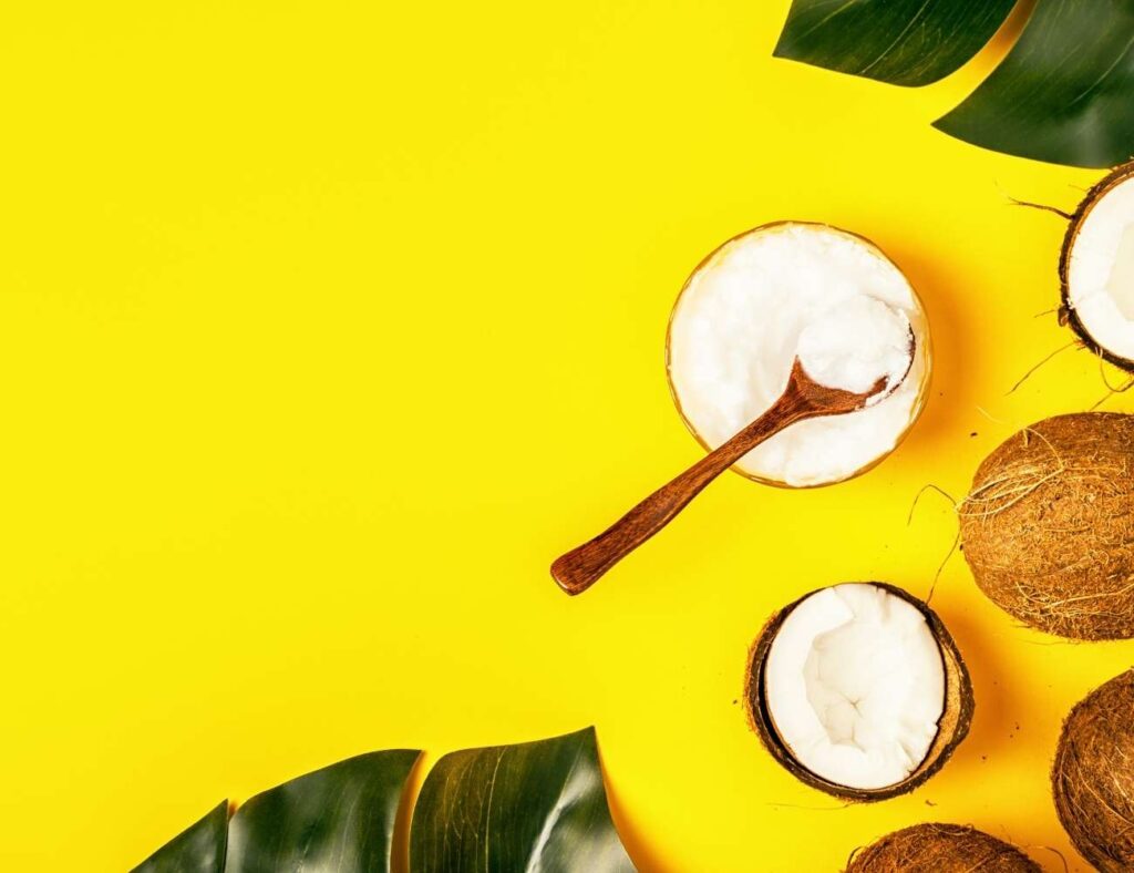 Giardia Coconut Oil Against Giardia Is It Safe? Dog Sploot