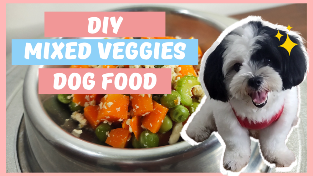 Is Celery Good for Dogs? DIY Easy Mixed Veggie Recipes for Dogs