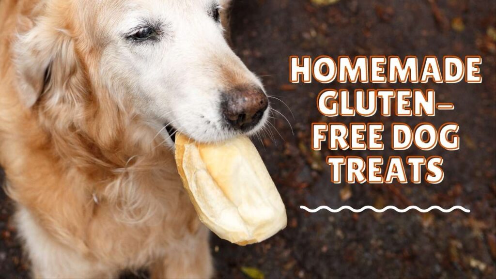 why-yes-these-dog-biscuits-are-gluten-free-gluten-free-dog-treats