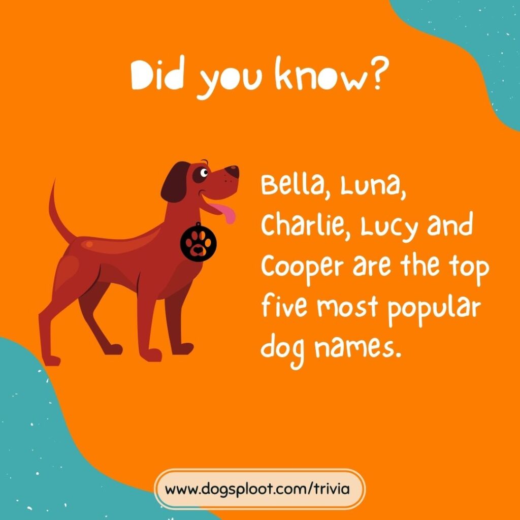 trivia-92-popular-dog-names-trivia-dog-sploot