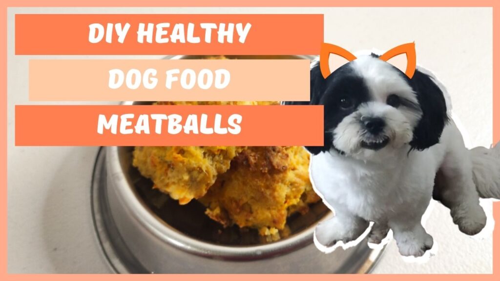 Dog Food Recipes with Ground Beef Meatballs for Dogs?